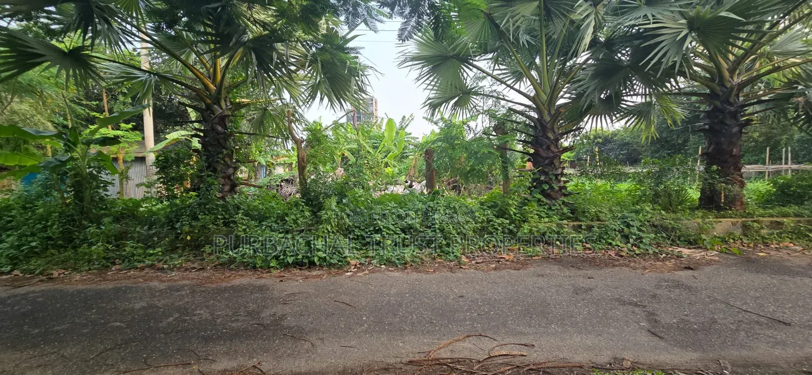 পূর্বাচল ১৫ সেক্টরে,৫৪ ফিট রাস্তায়,৫ কাঠা উত্তরমূখী প্লট বিক্রি