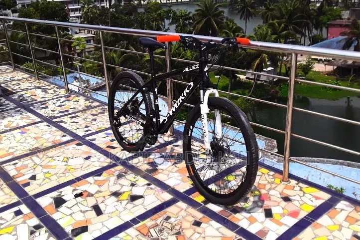 Specialized Allez