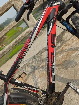 Jackson Focus Cycle