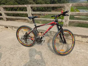 Jackson Focus Cycle
