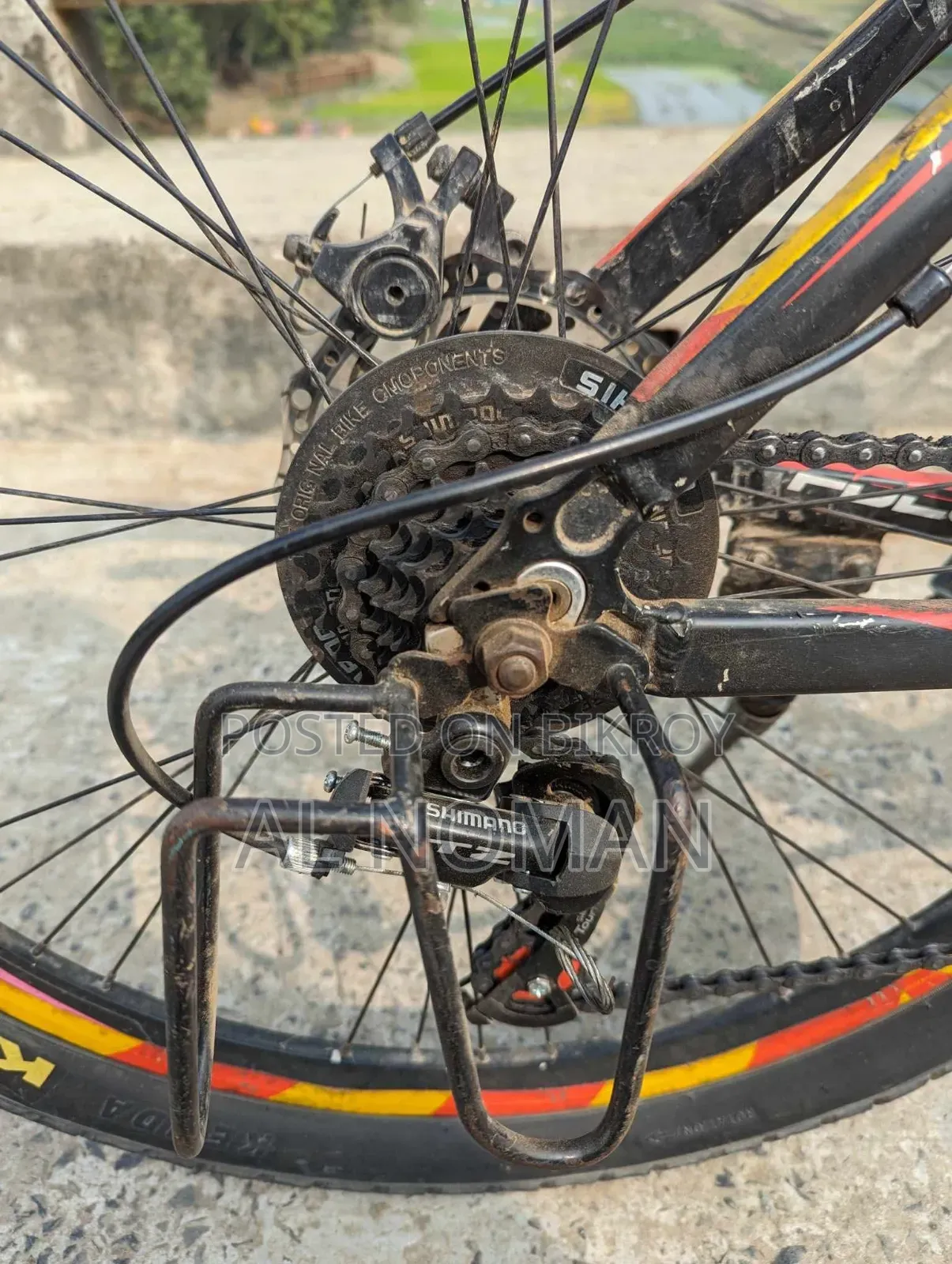 Jackson Focus Cycle
