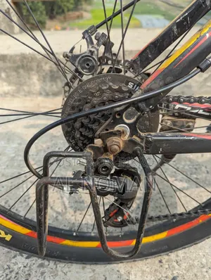 Jackson Focus Cycle