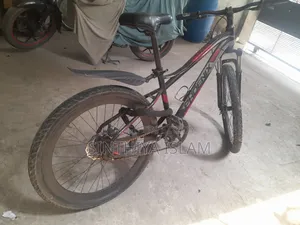Phoenix Cycle Urgent Sale