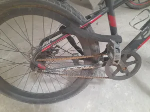 Phoenix Cycle Urgent Sale