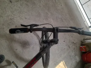 Phoenix Cycle Urgent Sale