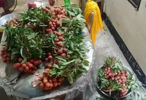 ১০০% খাটি লিচু ফুলের মধু