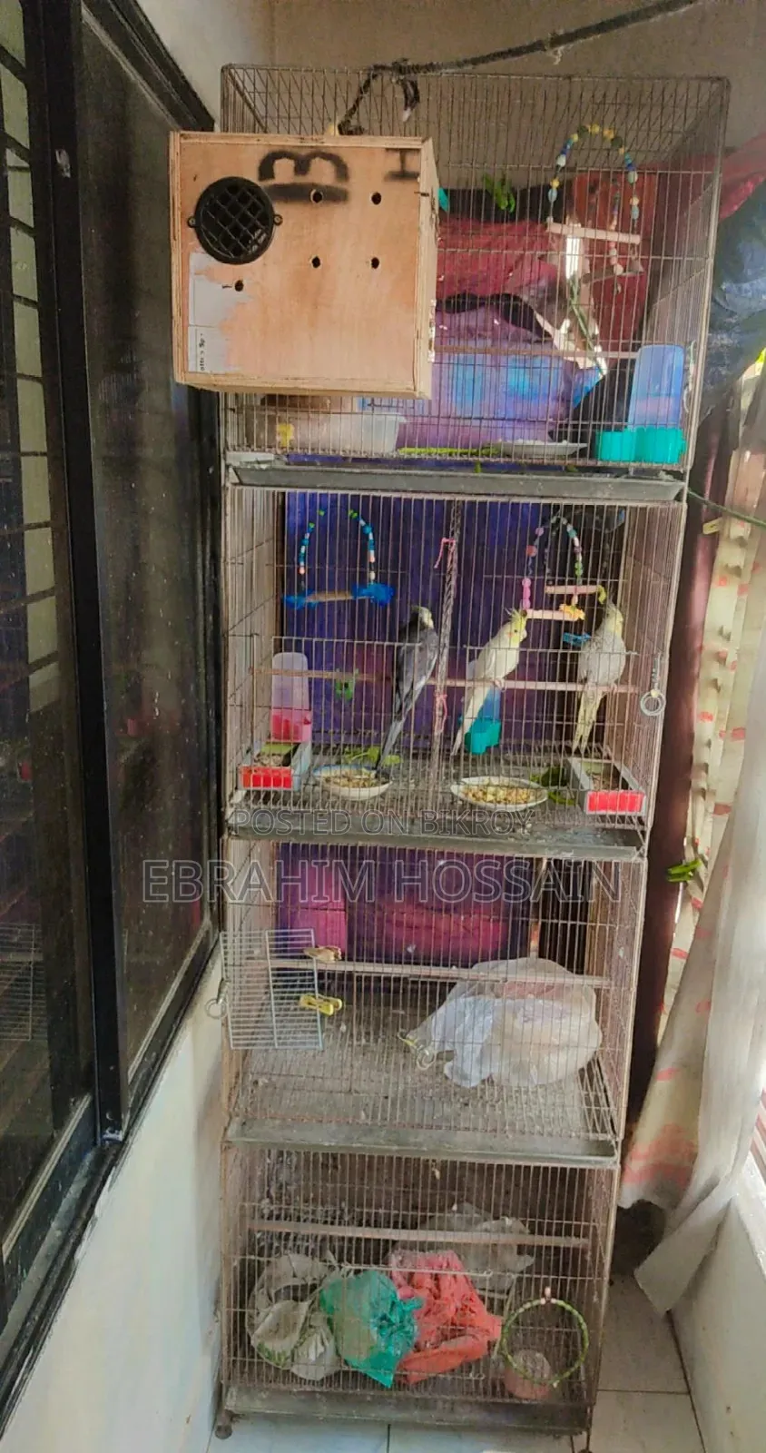 Bird's Cage 18/24