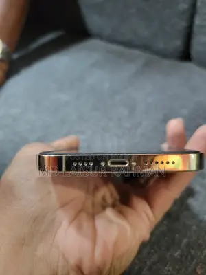 Apple iPhone 13 Pro Max 256 GB Gold