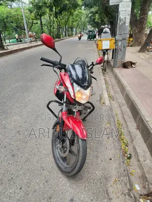 হিরো হাঙ্ক ২০১৯ লাল