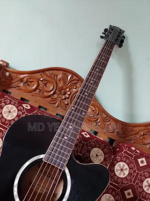 Acoustic Guitar