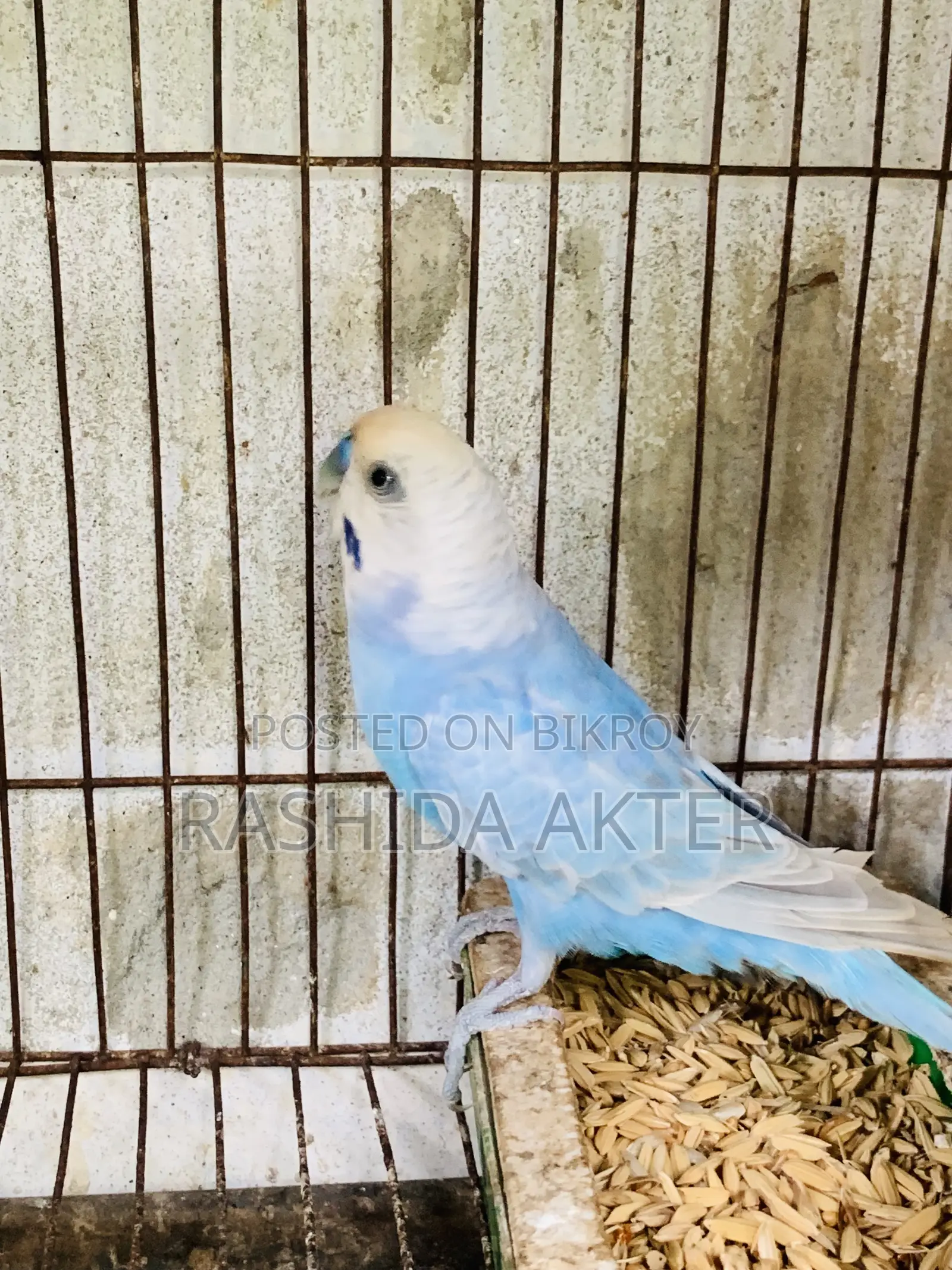 ১ টা রানিং মেইল