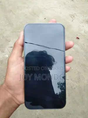 Apple iPhone 13 Pro Max 256 GB Gray