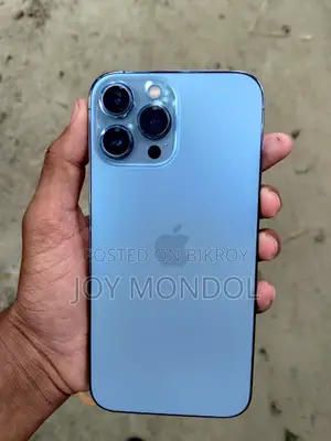 Apple iPhone 13 Pro Max 256 GB Gray