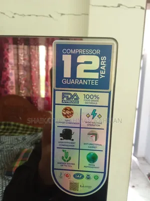 Vision Mirror Fridge