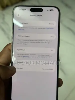 Apple iPhone 15 Pro Max 256 GB Gray