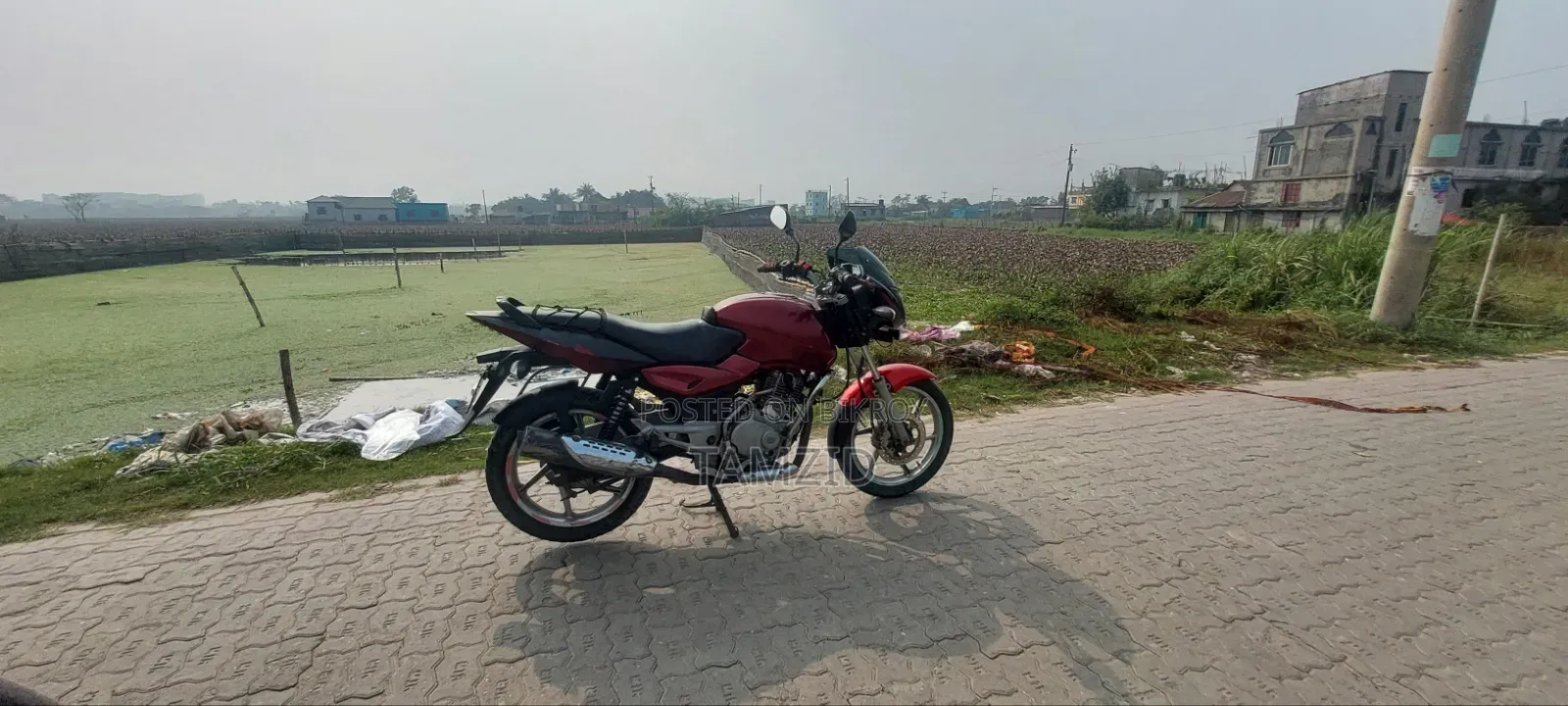 Bajaj Pulsar 150 2010 Red