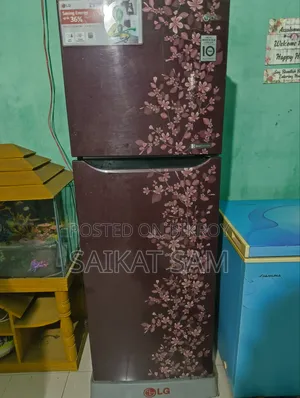 LG Fridge and One Deep Freeze