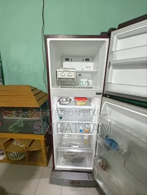 LG Fridge and One Deep Freeze