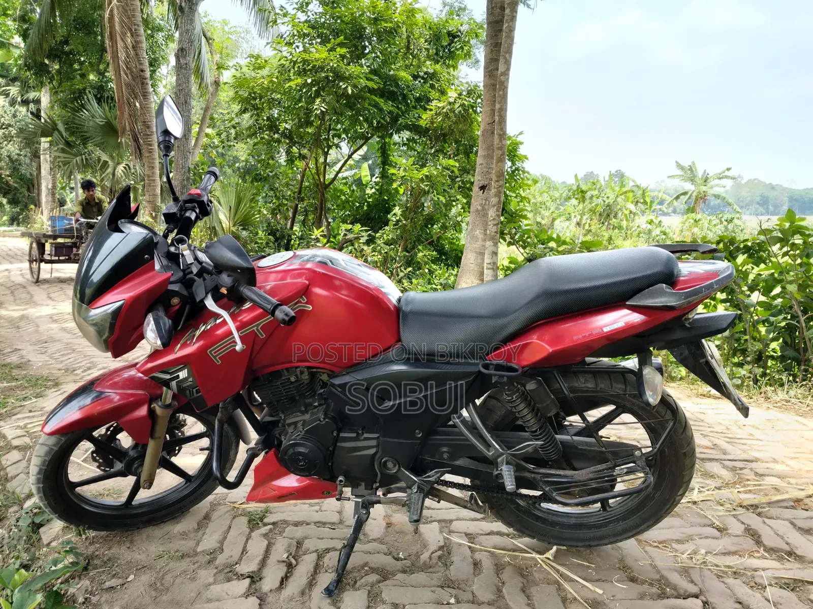 TVS Apache RTR 160 2V 2018 Red