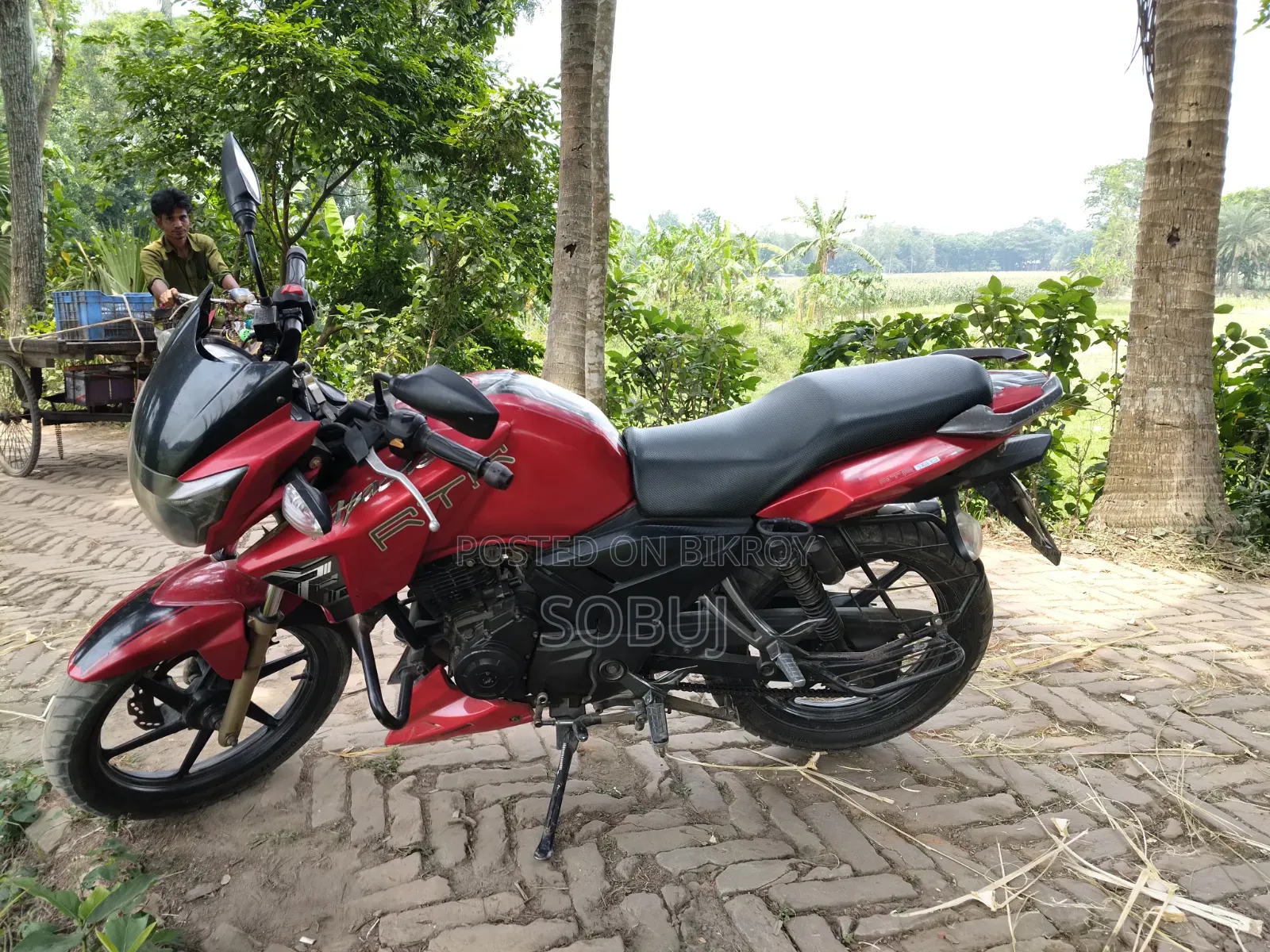 TVS Apache RTR 160 2V 2018 Red
