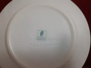 32 Pieces USA Dinner Set