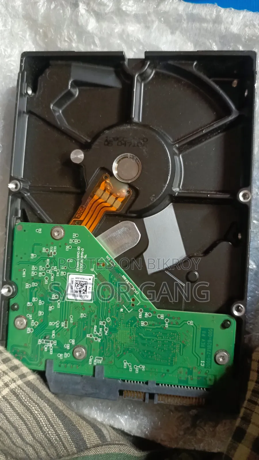 Western Digital