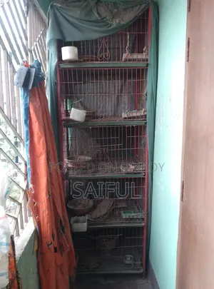 পাখির ৫ তলা বানানো খাঁচা
