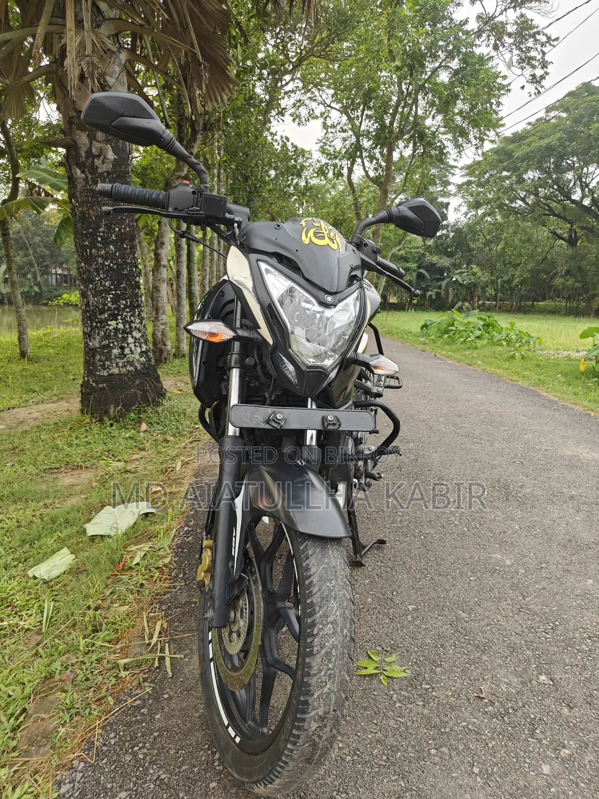 Bajaj Pulsar NS 160 2019 White