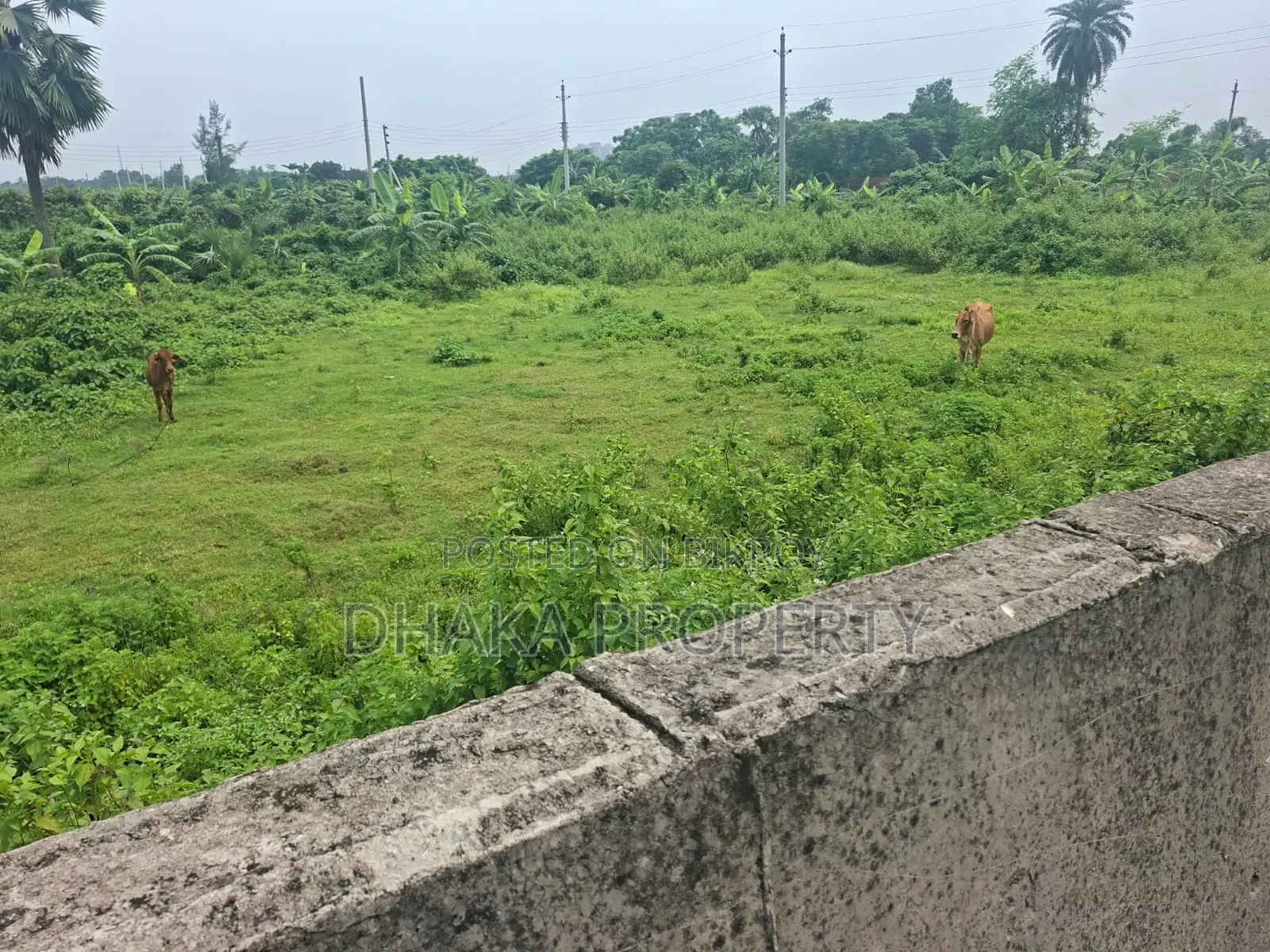 75ft Road 10 Katha North Facing Sector-16