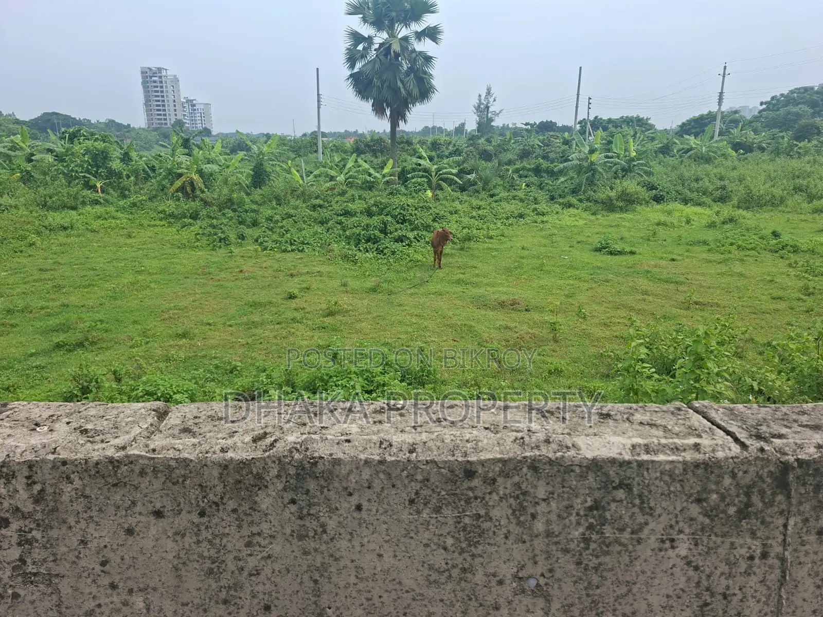 75ft Road 10 Katha North Facing Sector-16