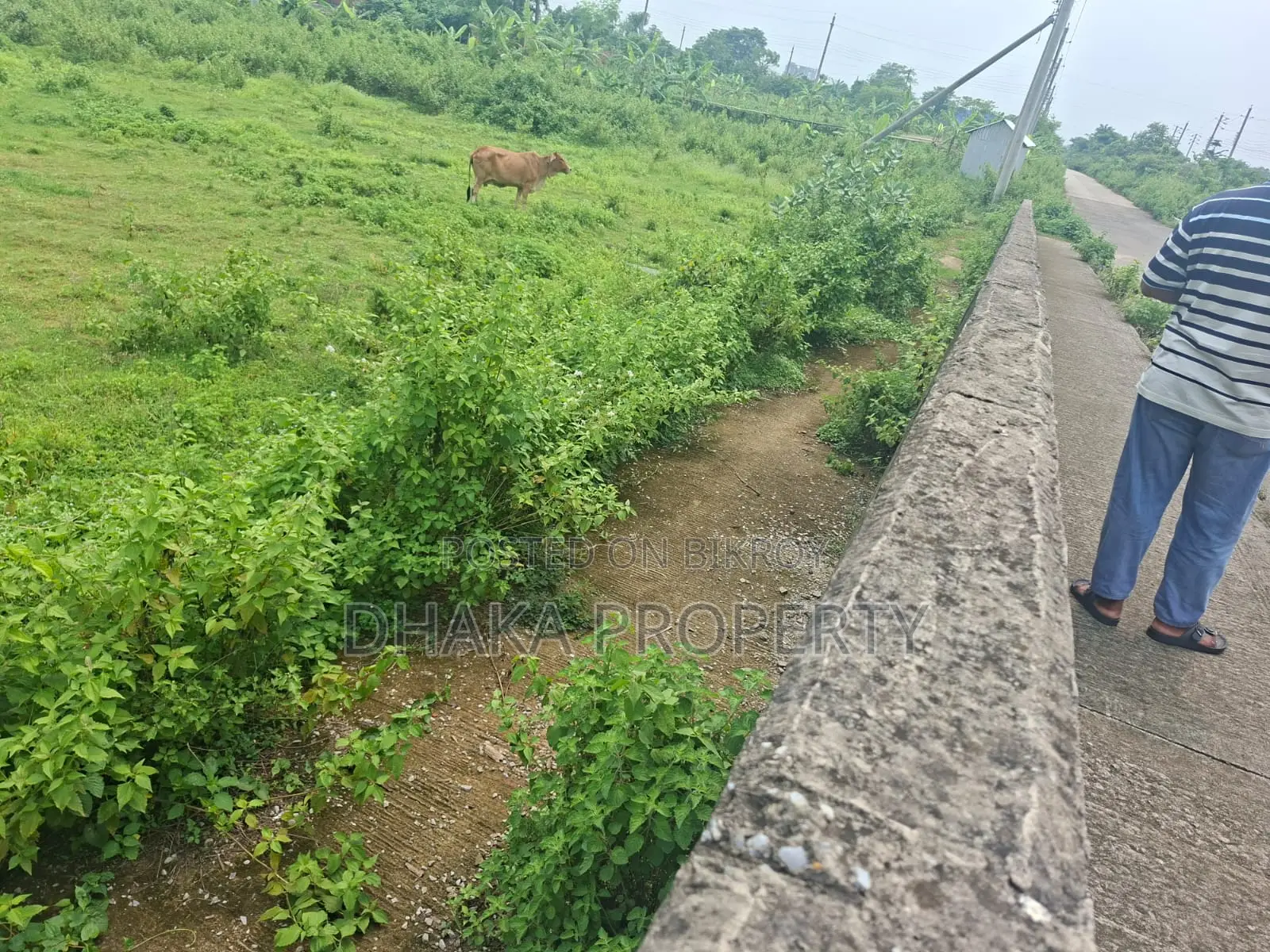75ft Road 10 Katha North Facing Sector-16