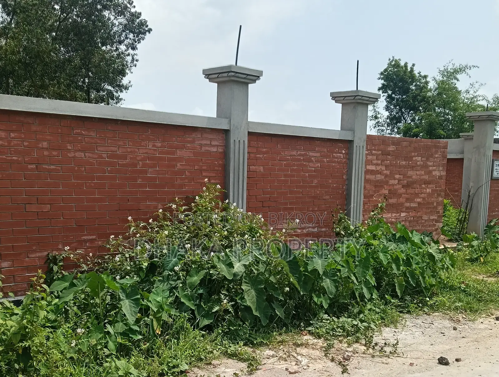 75/75ft Corner 5 Katha North/East at Sector-8