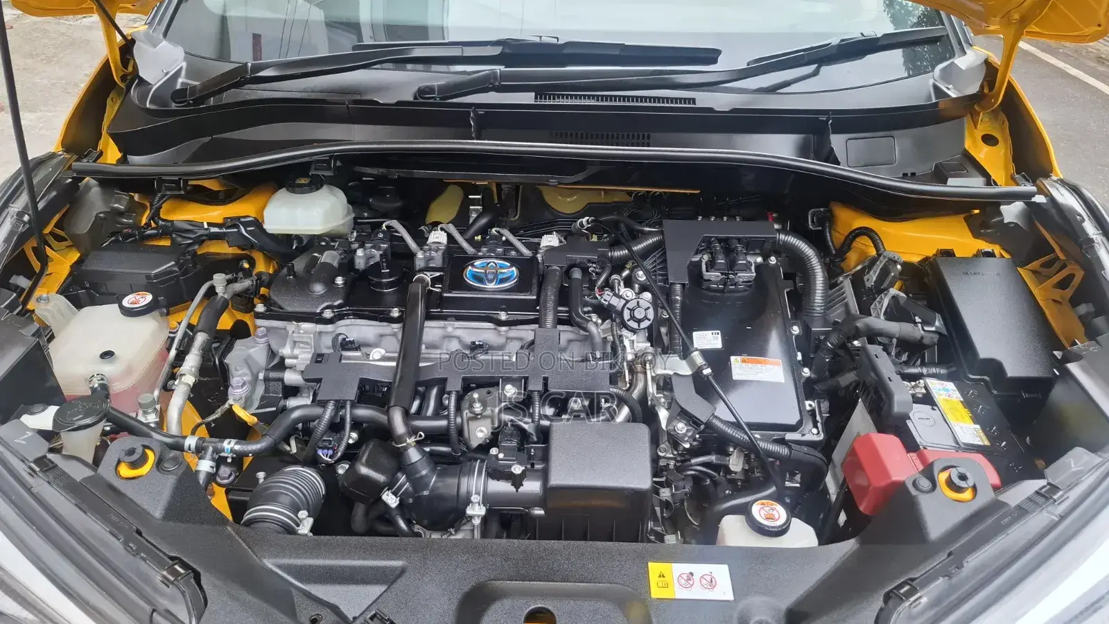 Toyota C-Hr XLE FWD 2019 Yellow