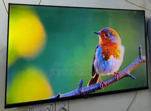 Haier 43-inch Bezel-Less FHD Google Voice Control Smart TV