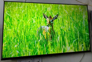 Haier 43-inch Bezel-Less FHD Google Voice Control Smart TV