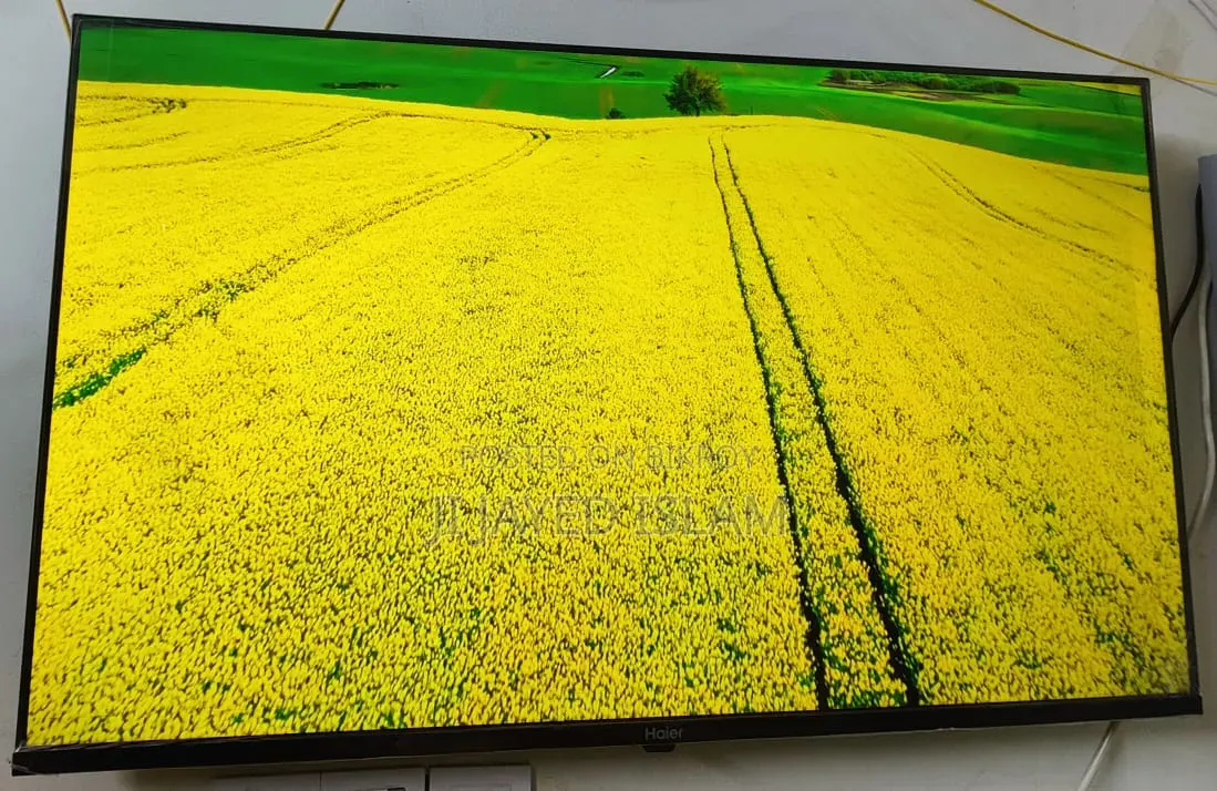Haier 43-inch Bezel-Less FHD Google Voice Control Smart TV