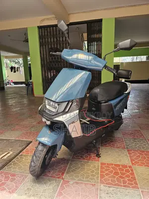 New Yadea Ruibin 2025 Blue