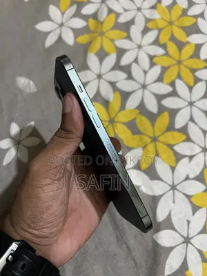 Apple iPhone 12 Pro Max 256 GB Blue
