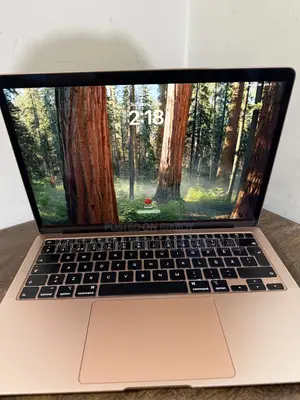 Laptop Apple MacBook Air 2020 8GB Intel SSD 256GB