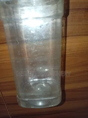 Crystal Clear Plastic Betta Fish Jar