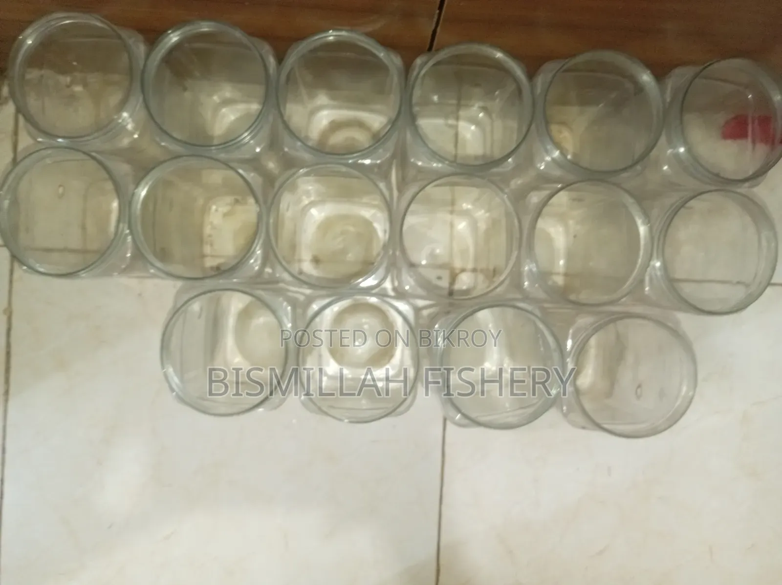 Crystal Clear Plastic Betta Fish Jar