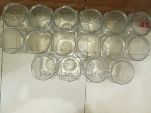 Crystal Clear Plastic Betta Fish Jar