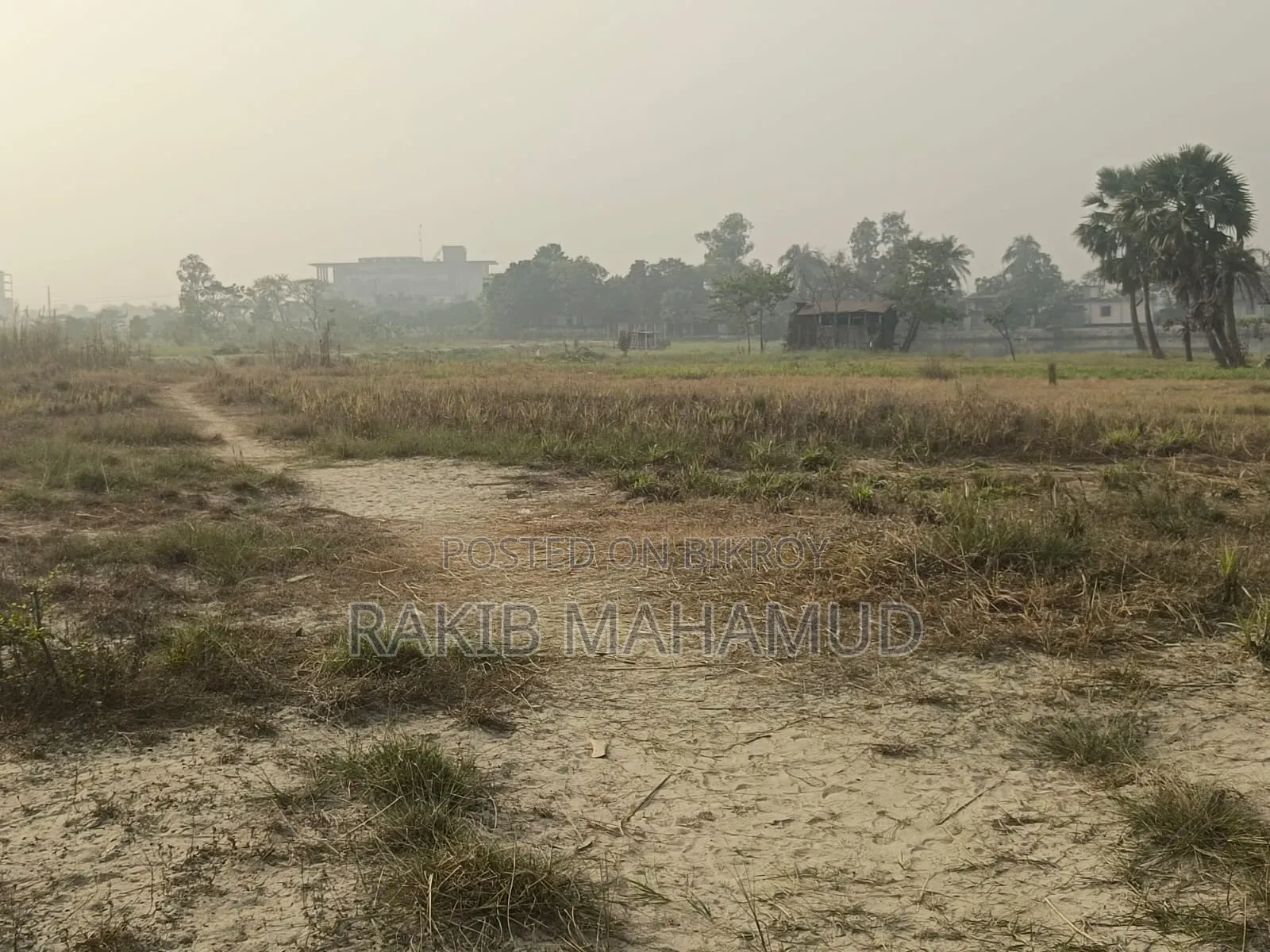 Plot for sale at a low price