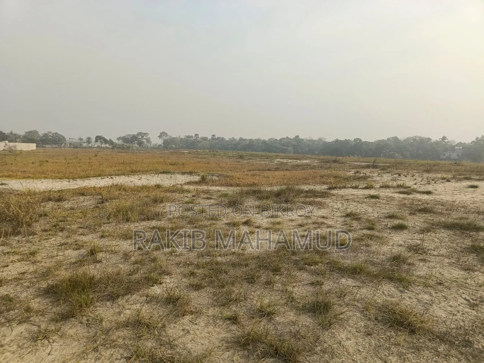 Plot for sale at a low price