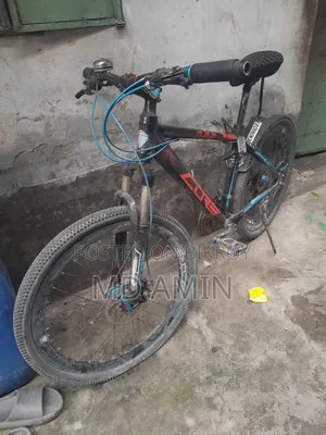 Bicycle for sale