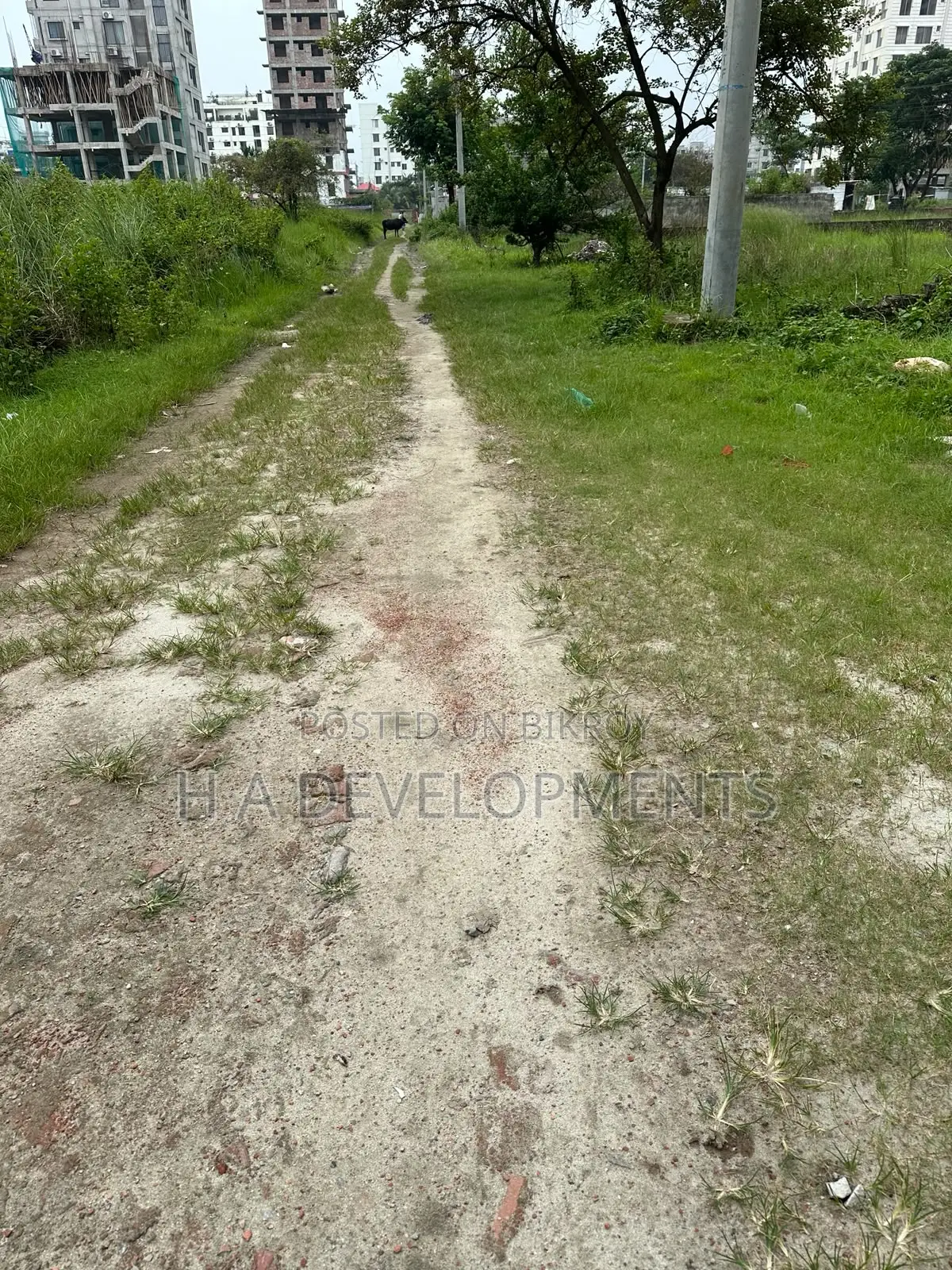 4 Katha Premium Plot for Sale in Bashundhara M Block