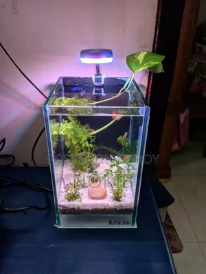 অ্যাকোয়ারিয়াম ফুল সেটআপ বিক্রির জন্য
