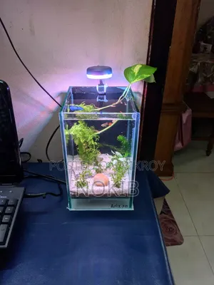 অ্যাকোয়ারিয়াম ফুল সেটআপ বিক্রির জন্য