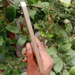 Samsung Galaxy A06 64 GB Gold