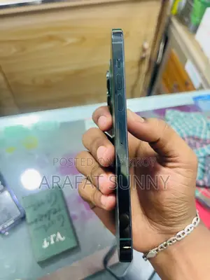 Apple iPhone 13 Pro Max 256 GB Green
